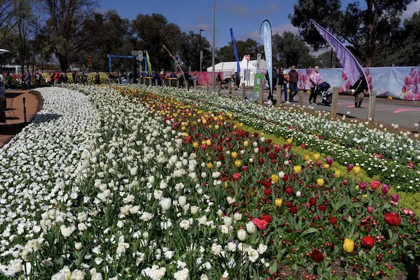 Floriade 2022 (29)